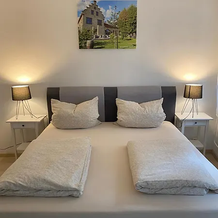 Ferienwohnung Stiegel Ingelheim-sur-le-Rhin Extérieur photo